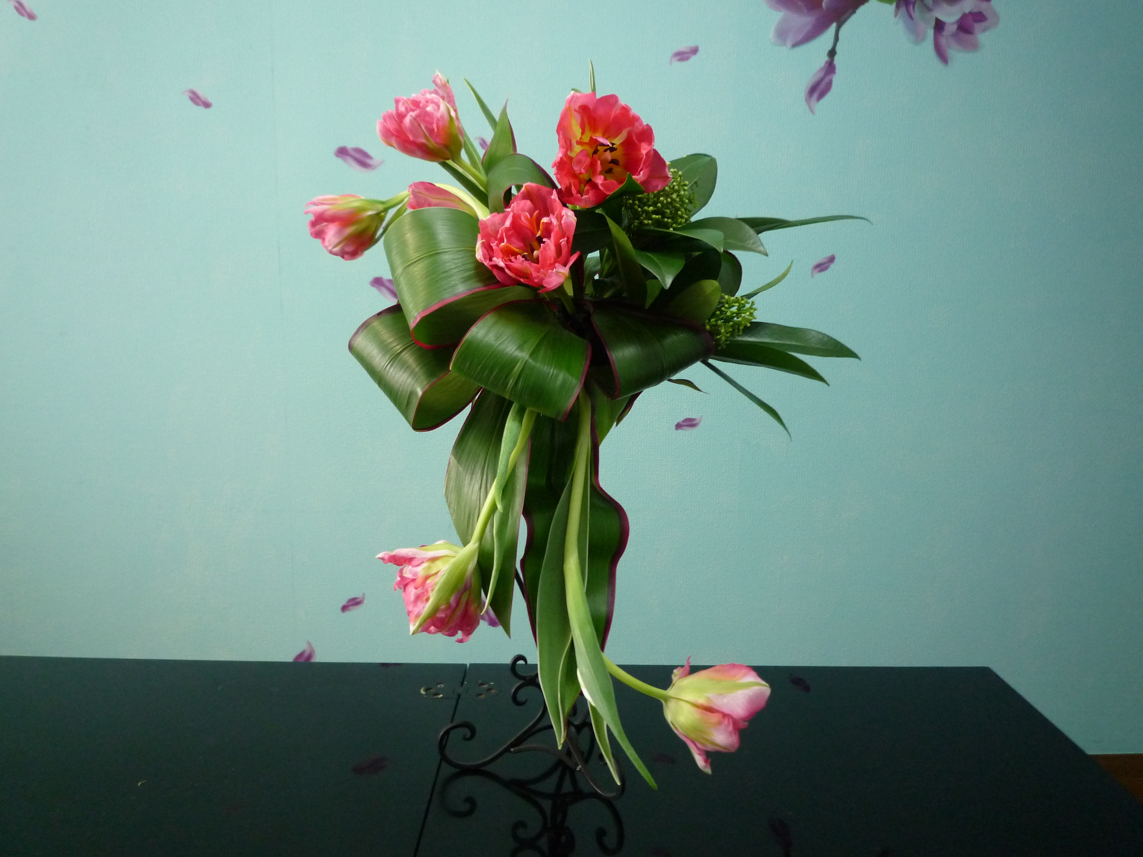 �T���v��