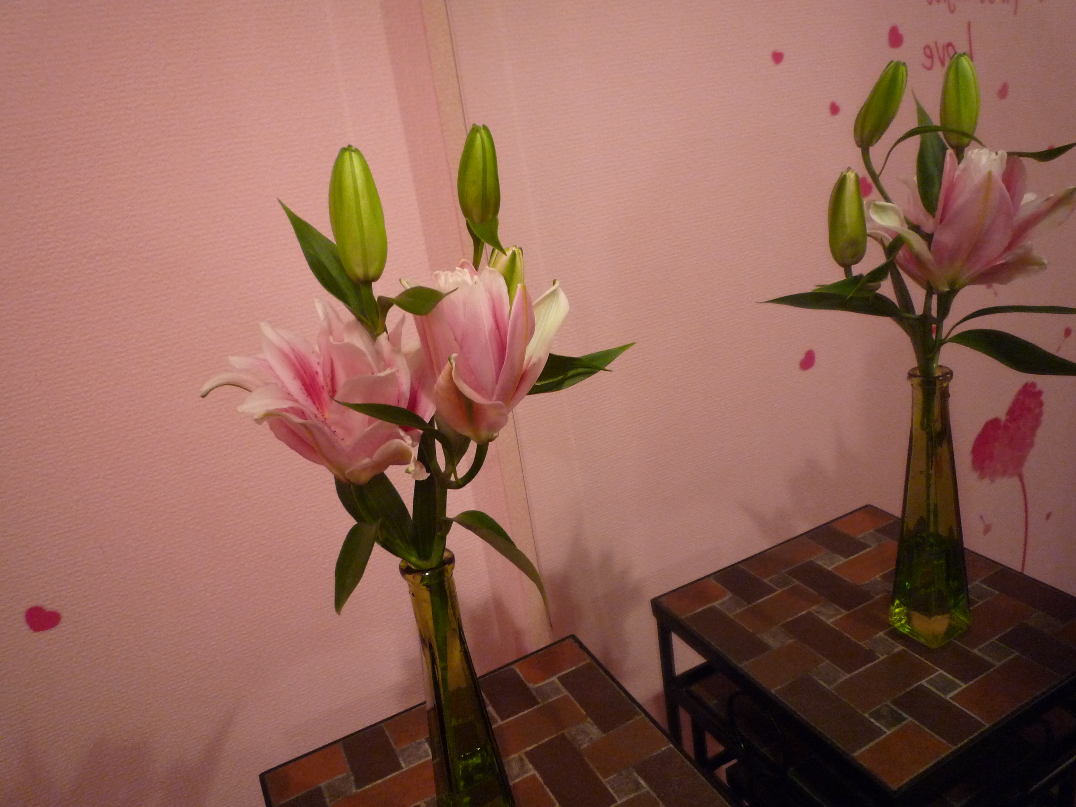 �T���v��2