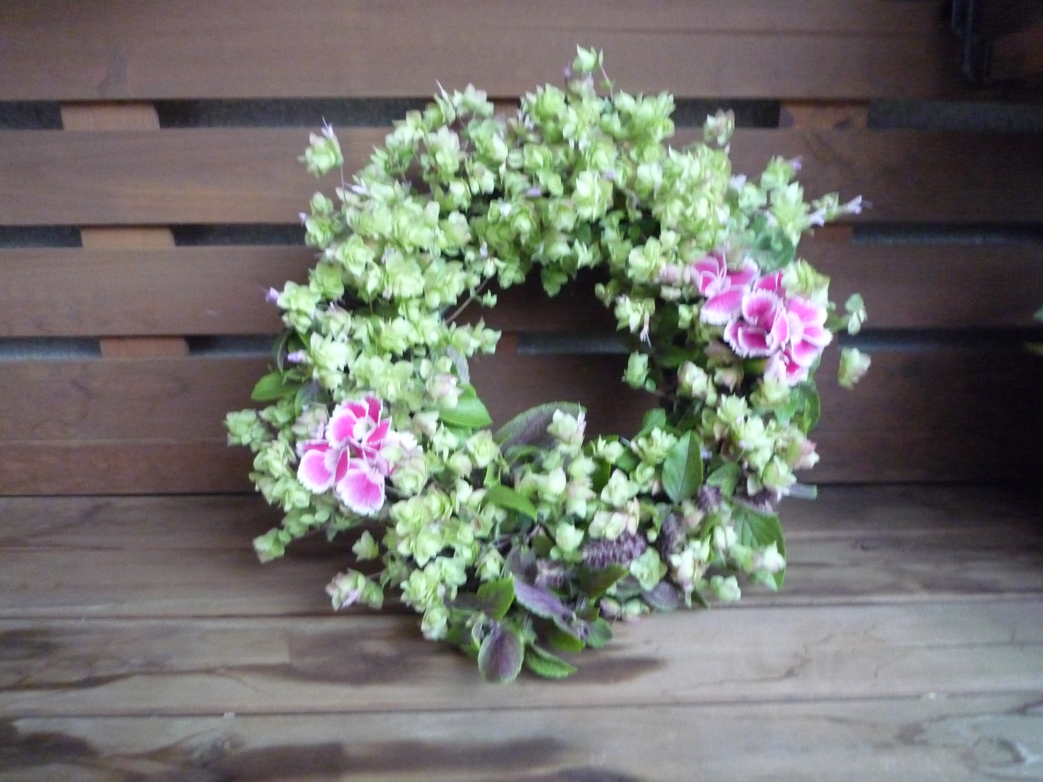 �T���v��3